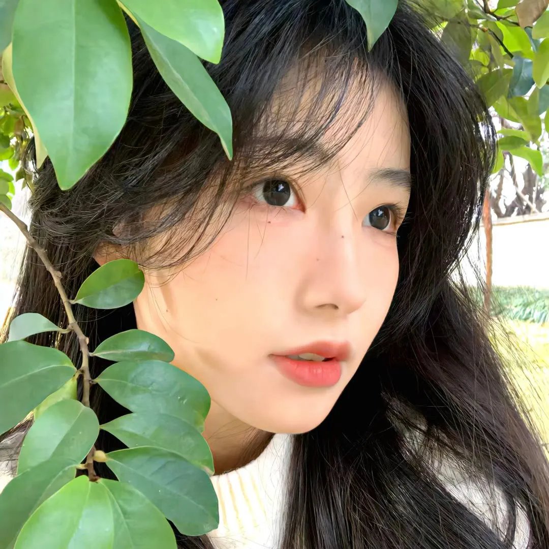 青春狂恋